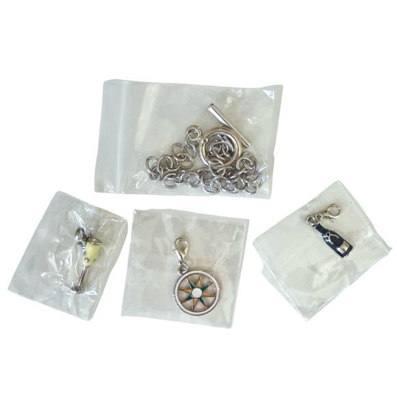 Charm Bracelet Silvertone with 3 Princess Cruise Charms. NEW! - Picture 7 of 11